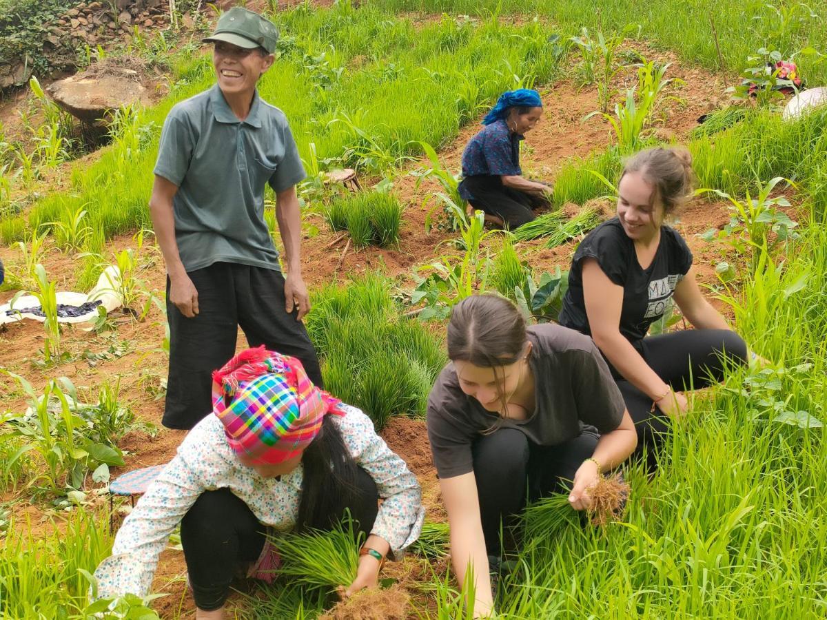 Indigenous Homestay- Trek- Food- Bus Mu Cang Chai Extérieur photo