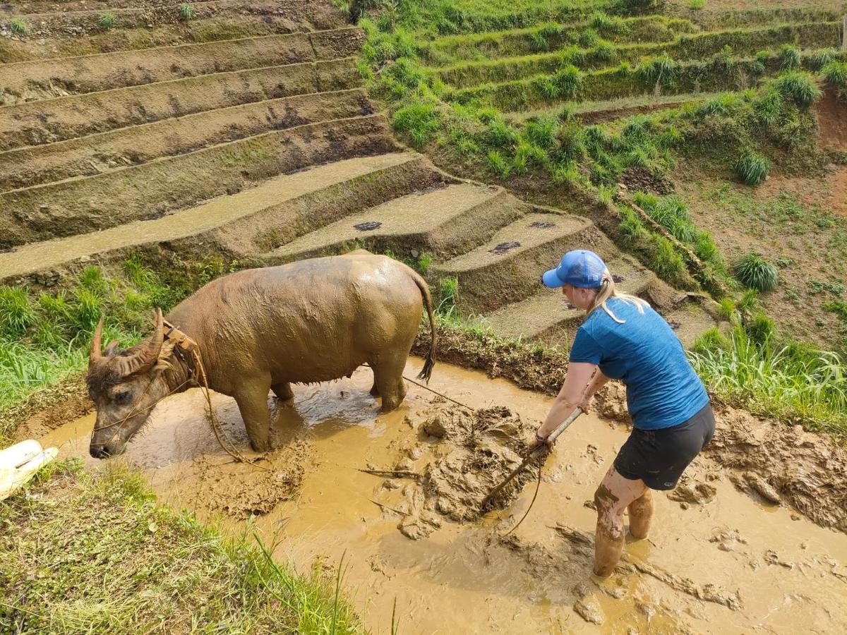 Indigenous Homestay- Trek- Food- Bus Mu Cang Chai Extérieur photo