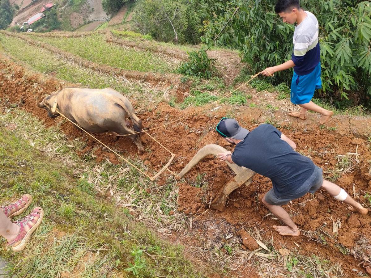 Indigenous Homestay- Trek- Food- Bus Mu Cang Chai Extérieur photo