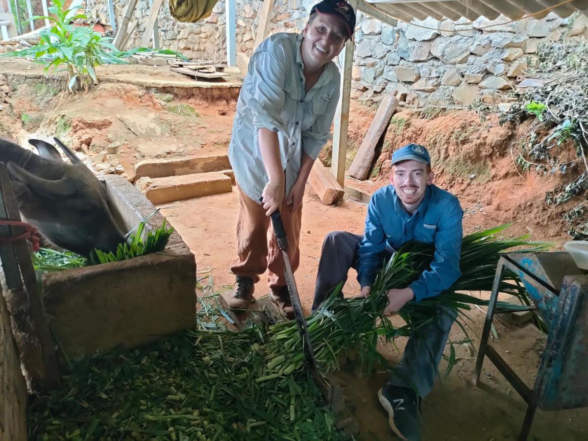 Indigenous Homestay- Trek- Food- Bus Mu Cang Chai Extérieur photo