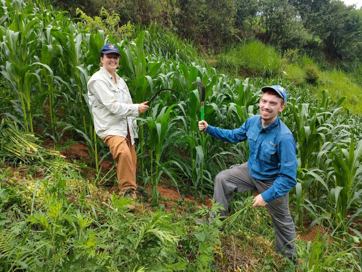 Indigenous Homestay- Trek- Food- Bus Mu Cang Chai Extérieur photo