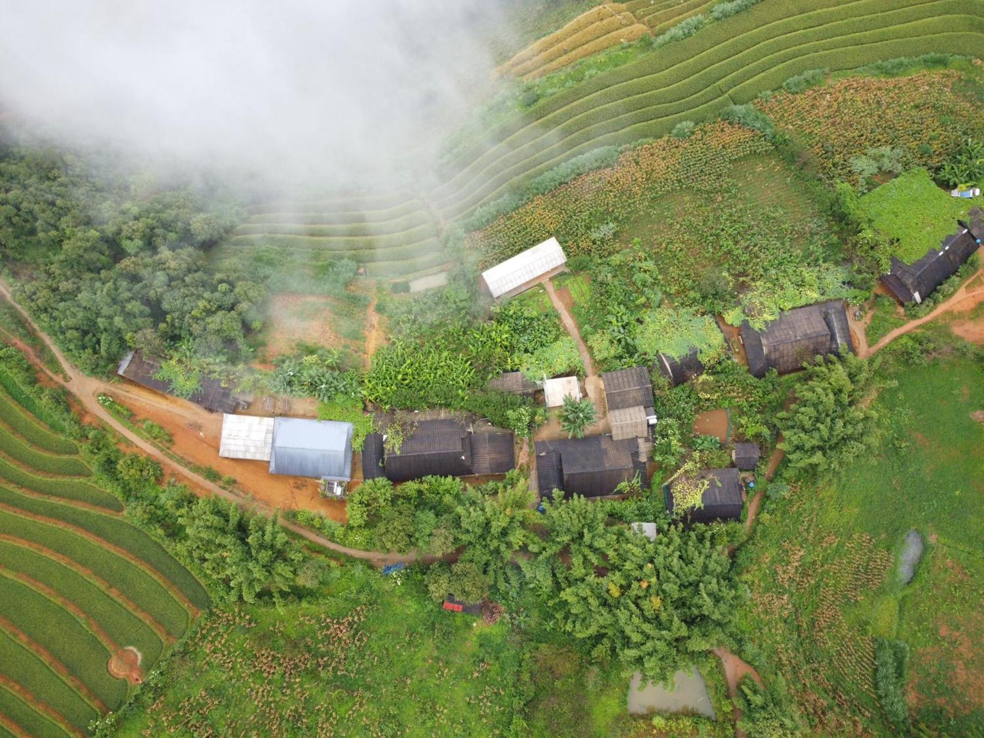 Indigenous Homestay- Trek- Food- Bus Mu Cang Chai Extérieur photo