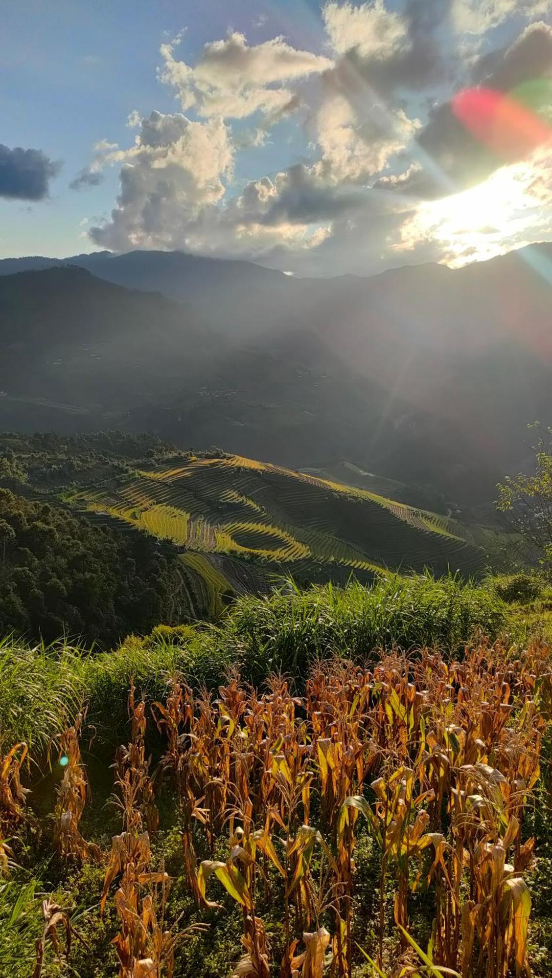 Indigenous Homestay- Trek- Food- Bus Mu Cang Chai Extérieur photo