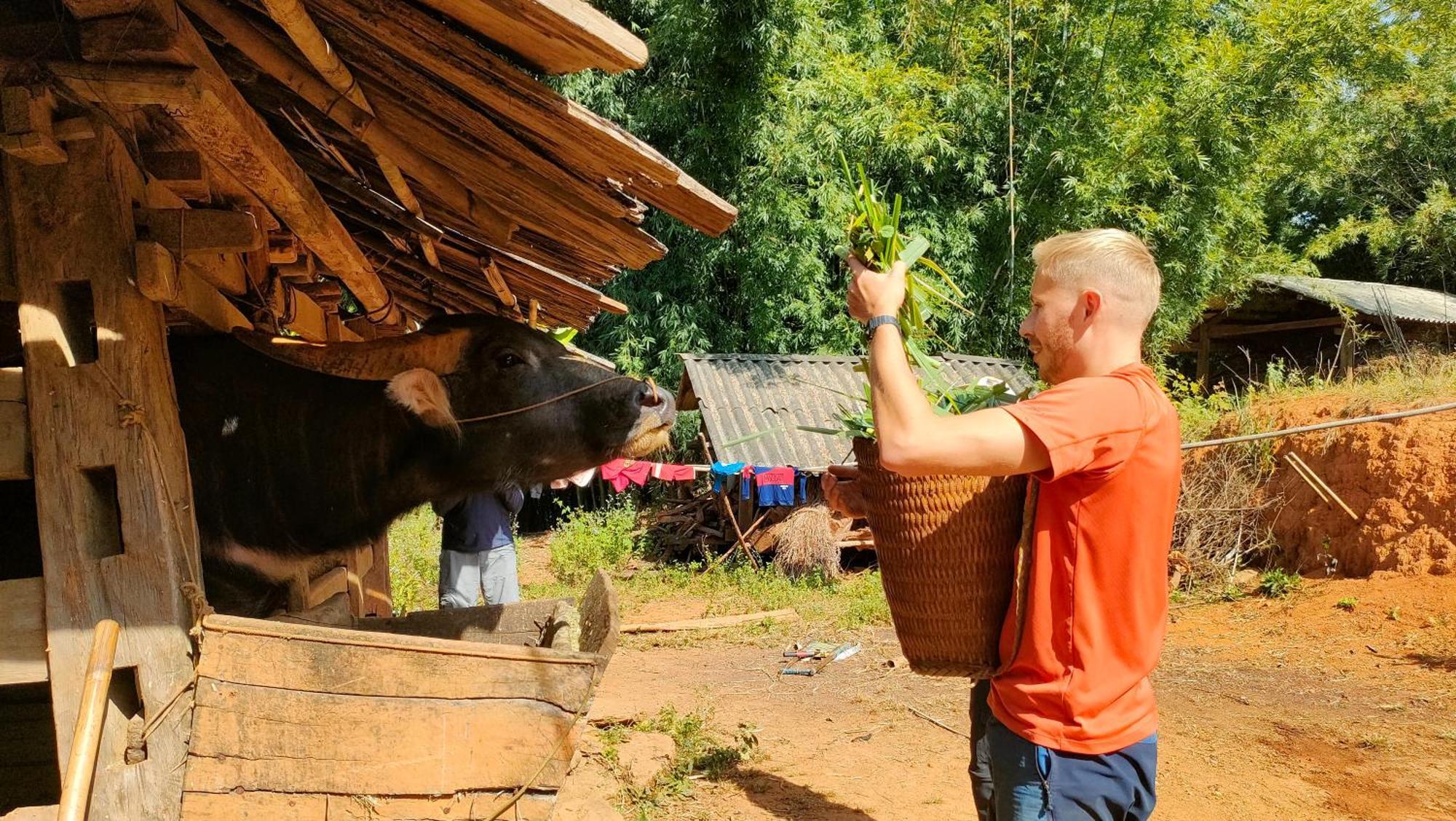 Indigenous Homestay- Trek- Food- Bus Mu Cang Chai Extérieur photo