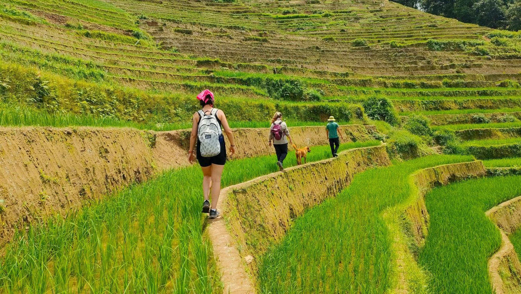 Indigenous Homestay- Trek- Food- Bus Mu Cang Chai Extérieur photo